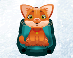 Cat Sledding