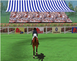 Horse Race
