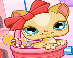 Littlest Pet Shop Kitty Candies