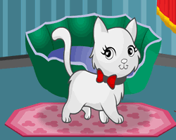 My Cat New Home