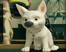 Run Bolt Run