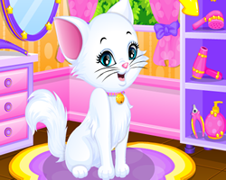 Kitty SPA Makeover