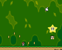 Mario Starcatcher 2