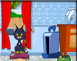 Virtual Pet